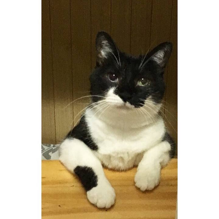 B27607ce c6df 4dca 8e55 01f93e858ec5