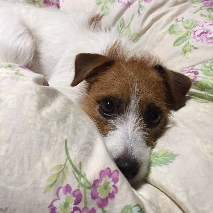 B2764f53 3020 4002 8a43 7e6d34f073c9