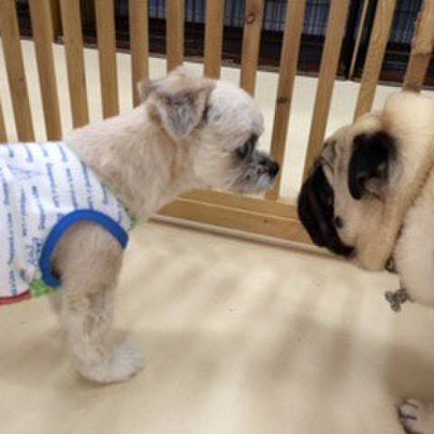 B27679ae 9c6e 4d06 bff8 a93b21f3aac3