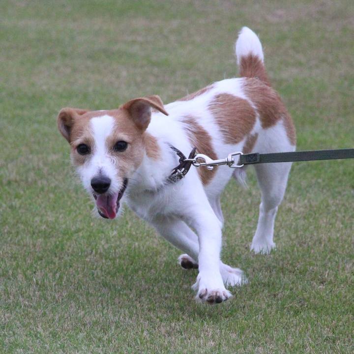 B276b74a fd62 4fec a902 4d0131db271d