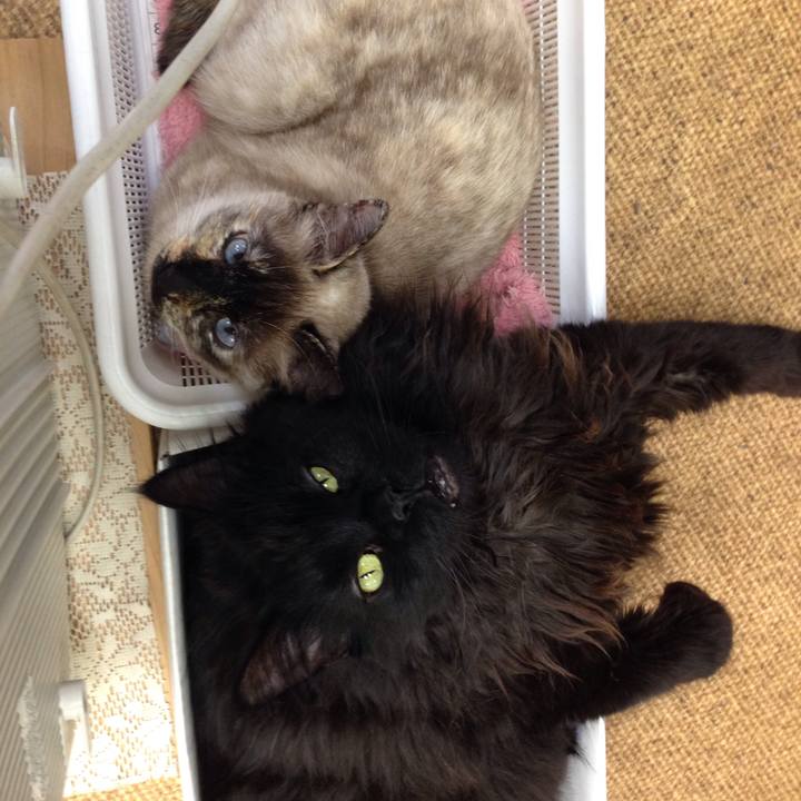 B277048f 49d2 43e7 82e5 9c0369ae8892