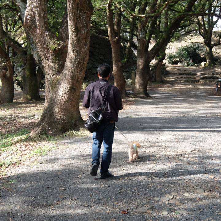 B277de29 0a1c 40be bc5a 0f52cfdf728c