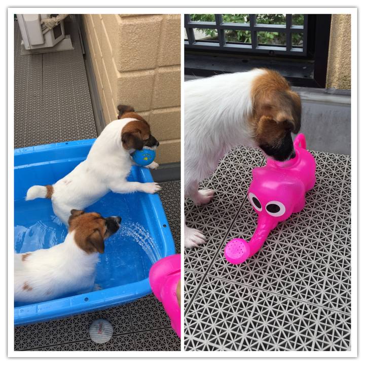 B277e876 f589 4807 84f6 95f96a83f970