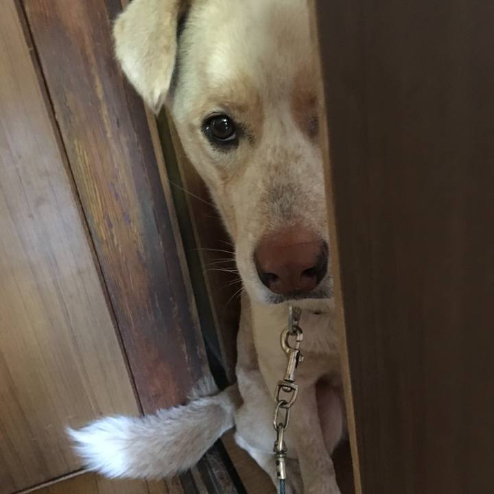 B277ecd7 c582 4876 a126 b040f7bdb38d