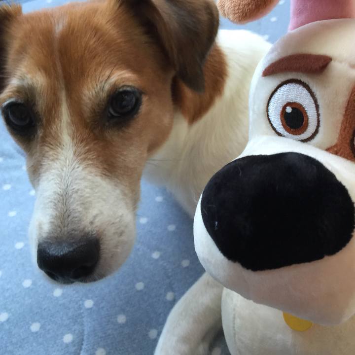 B278b6ec 256d 4a64 9a96 922914f68584