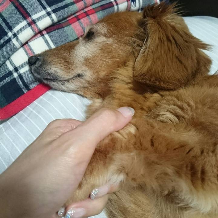 B278c058 50cd 41d2 9468 9672888aaeca