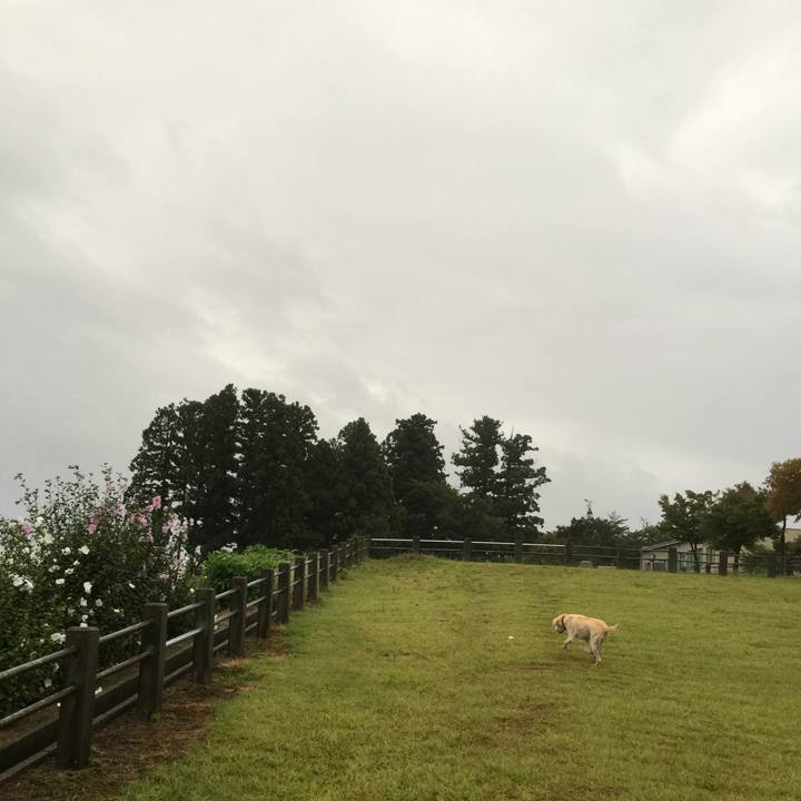 B278fcda 3403 499c 9f30 86305340e228