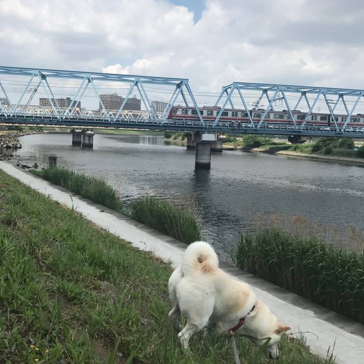 B27926e4 60a5 4062 ba21 6df24fd0dc58