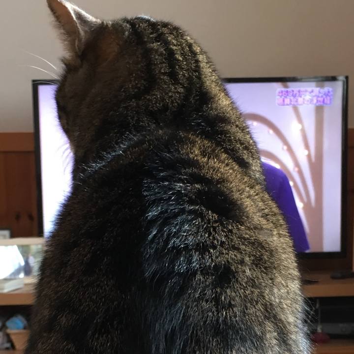 B27980c4 0897 46c0 a9e3 9b5b7728ef97