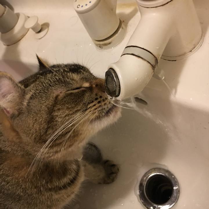 B27a2d4a 80df 4c8c b8ce 42f8c6b19ab4