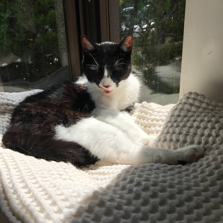 B27a7e48 d102 4600 9ae9 6b07bfb20fa4