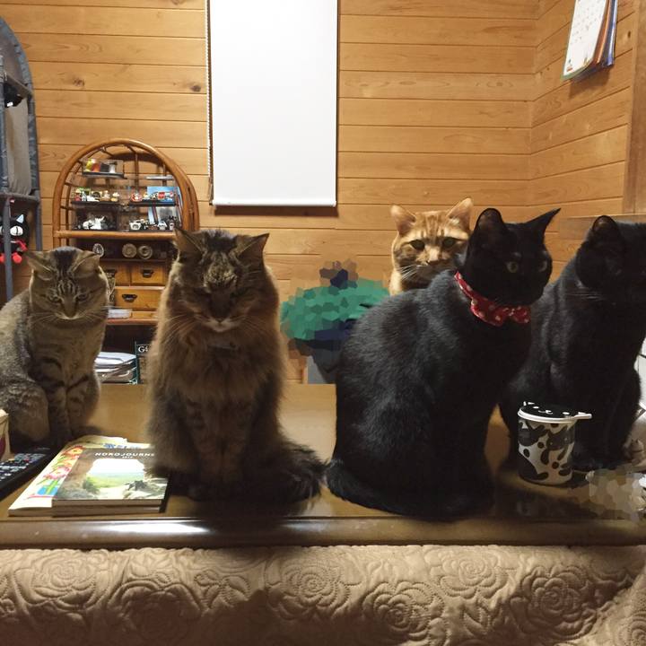 B27aba93 696c 4670 8c11 f1e09596bc3c