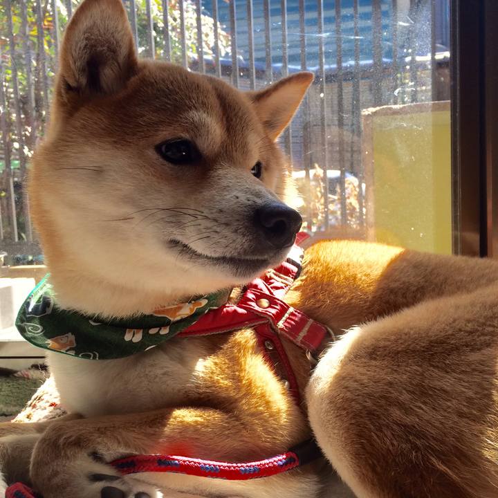 B27ac47b 2f73 4470 bfc5 0b755c4743d0