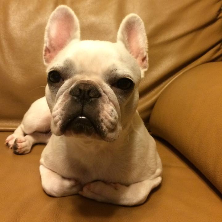 B27b1e0b d009 4fd7 86fb 6e67d7968f10