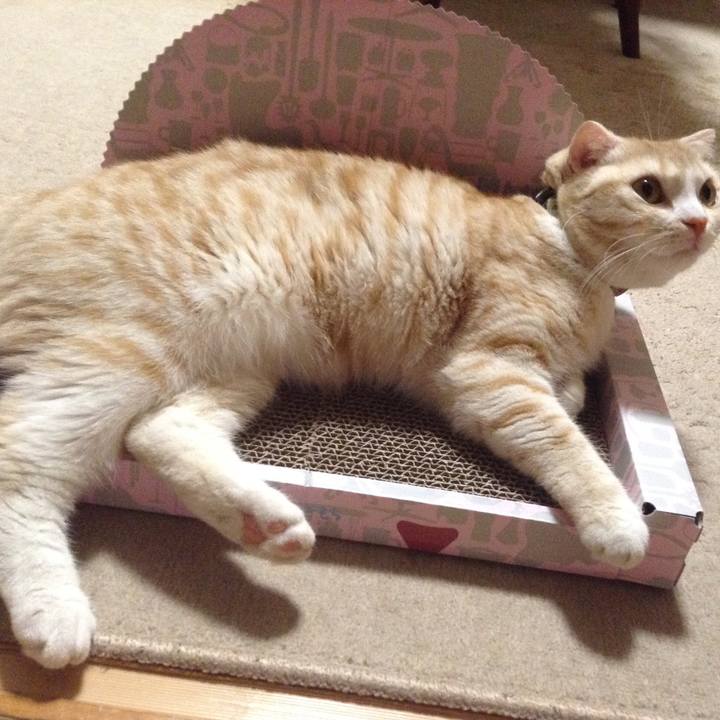 B27ba4a2 a239 42ab 95ec db8c0c42cb70