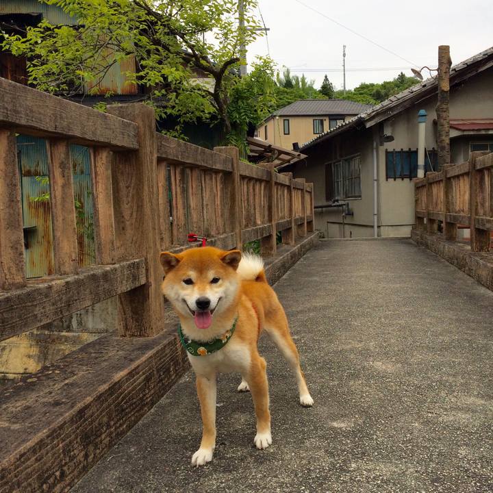 B27bcdb1 f9b9 48e0 b8fa 8e5de4b5d594