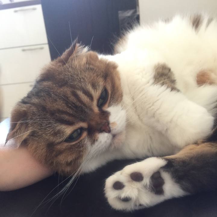 B27bd044 9189 4ecc ba75 af8fdc8a0d23