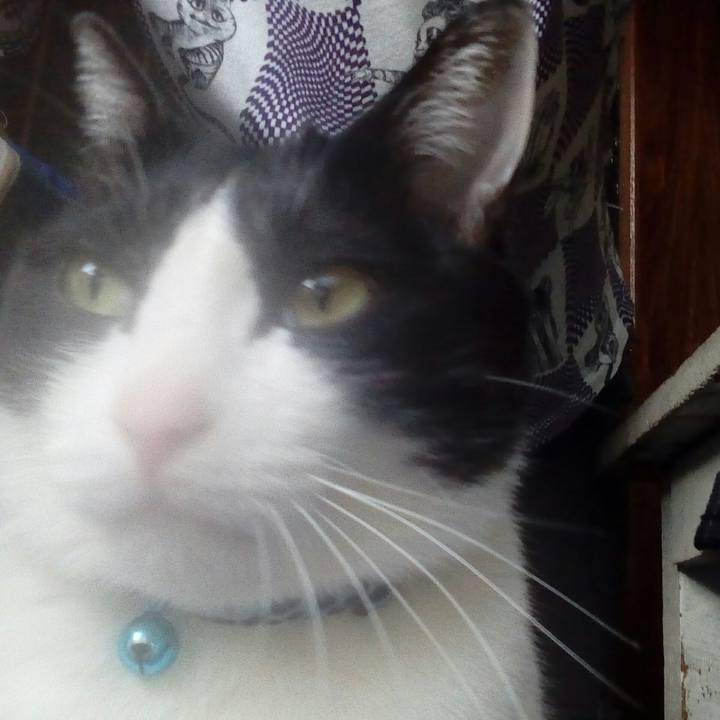 B27be5a9 b824 4747 92bb b30803dff468