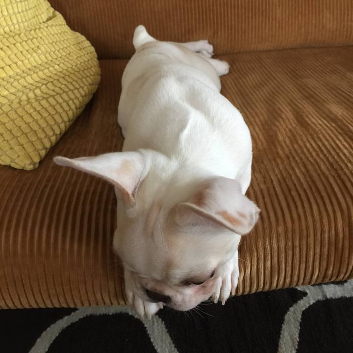 B27bff08 a06b 49d3 a57b ab4132296146