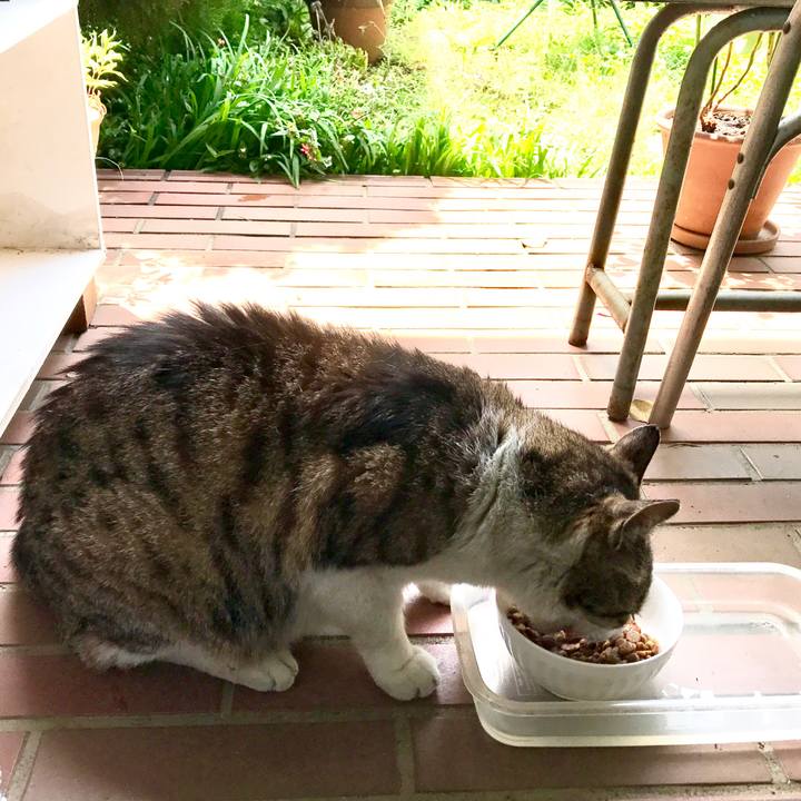 B27c69cd 7572 49d4 b083 004b48d21f8a