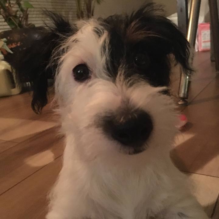 B27cb26b d16f 4554 a3ff b0a26ccc0f0a