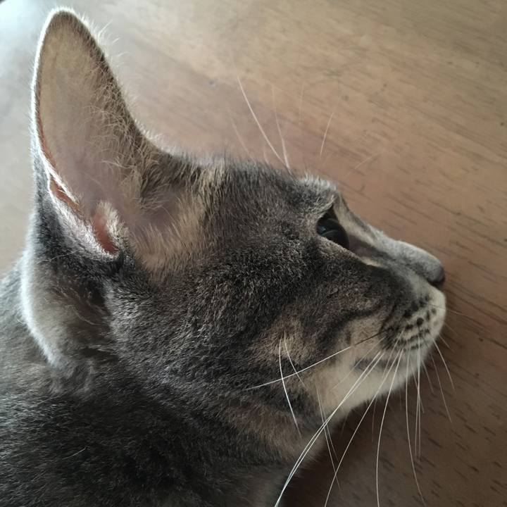 B27cbc7c 2738 471b 858a e358b23f77a4