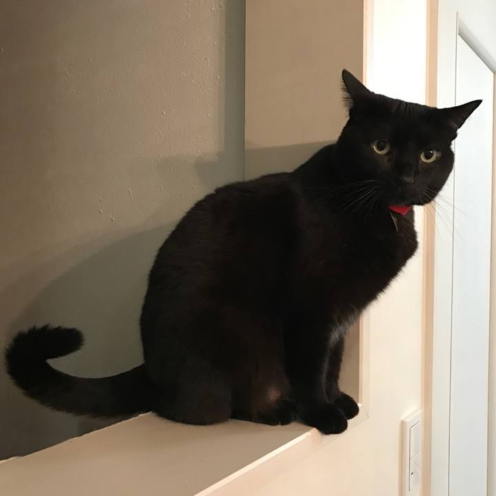 B27cdf7a 041e 4261 a7e1 d12bee8be54a