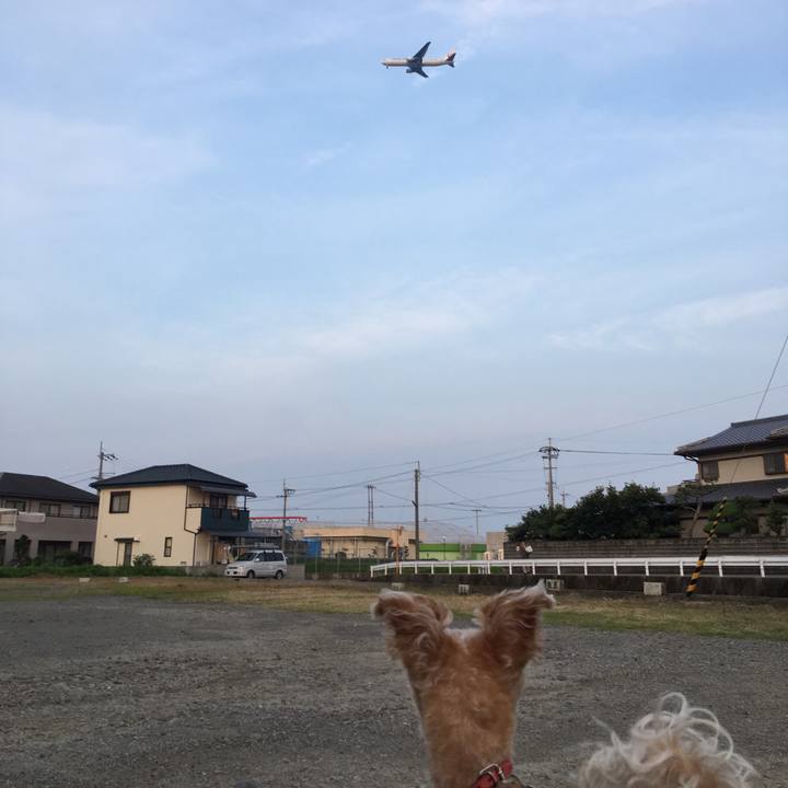 B27d7a1a 4d1a 4ecd aeeb 00b7a5352395