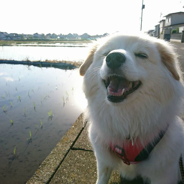 B27da935 7566 4df4 8bda 105017864537