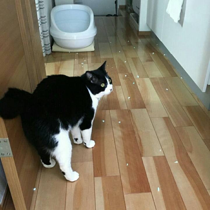 B27db131 bb97 443d a4d9 155ecfe3b1d1