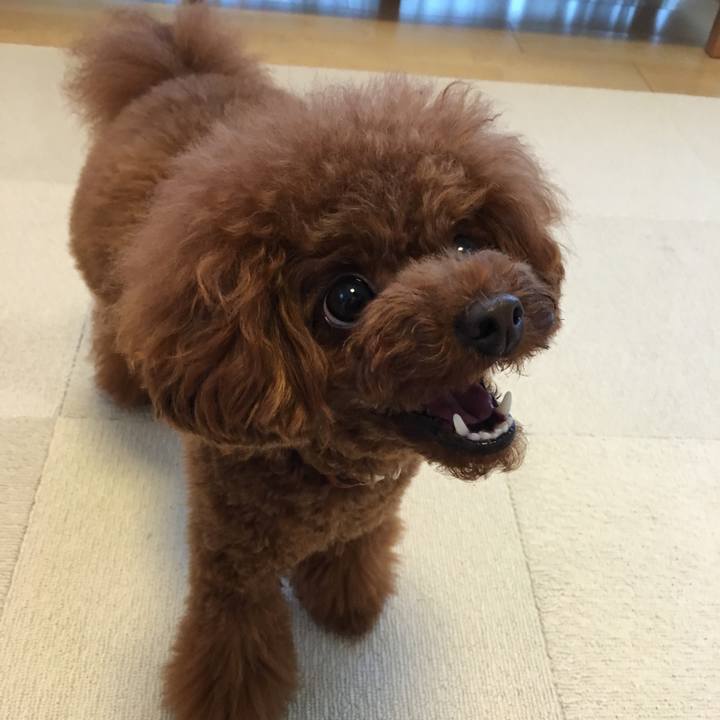 B27de4ce cb7b 44d2 b229 28106cc8fee6