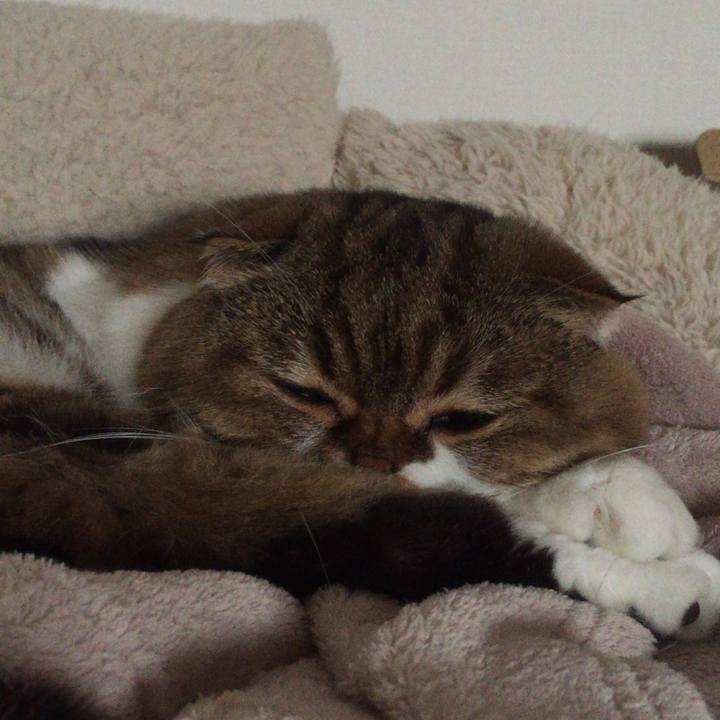 B27e4dbd 331f 41fb 971d 82ef07aafa1c