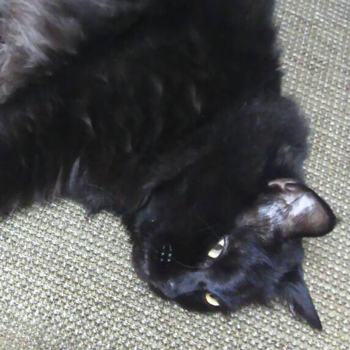 B27e5bf3 4138 49ea 8ebe a2a8ce83b03c