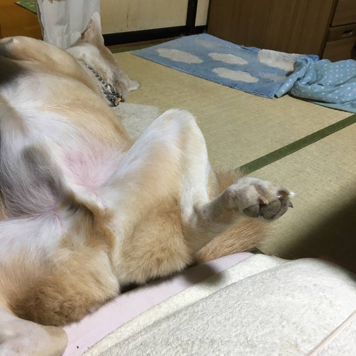 B280062d 5a8e 46e5 92fa 95ba8a87388c