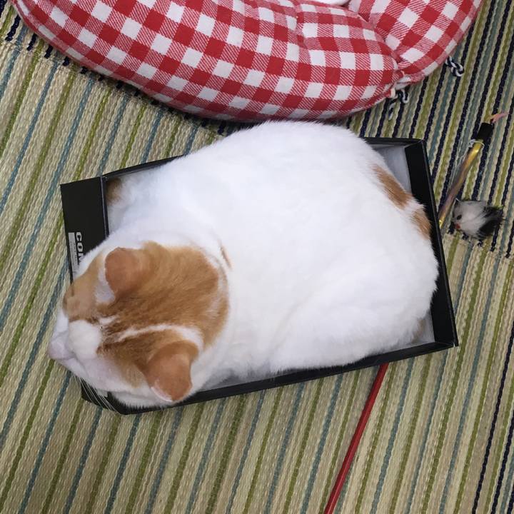 B280f7d6 1e58 4c5f 9e81 4e7f7c0682fa