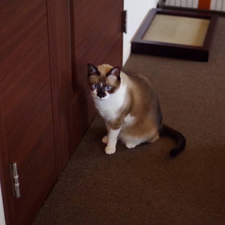 B28342ba 7a3d 4b0a 88ff e6cb39714b9d