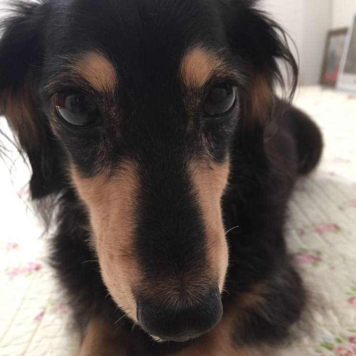 B28363ab b9ef 47a8 b22a c52d63a68730