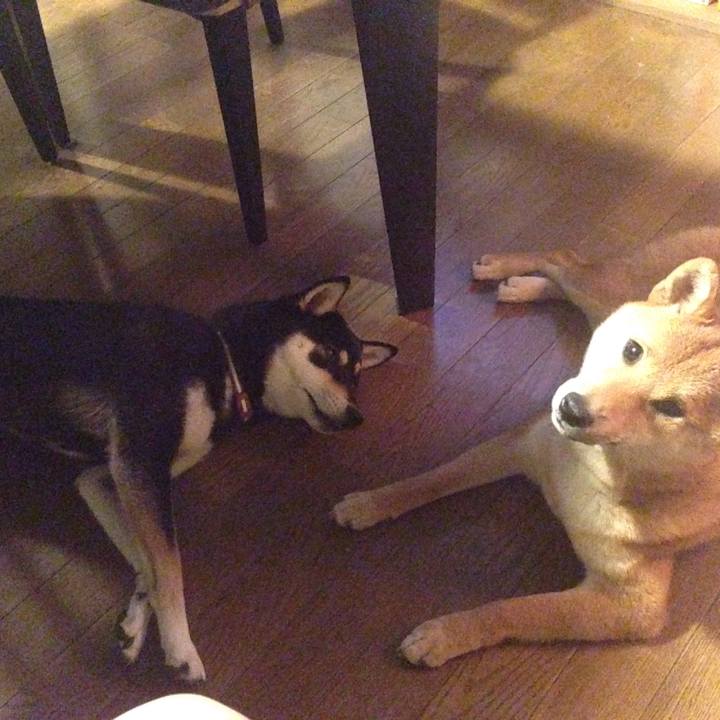 B28366ec 0c69 486d a60c cb647a96ef60