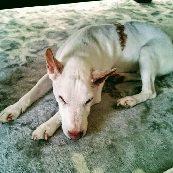 B2843e32 6e06 4ed1 b242 33851155857a