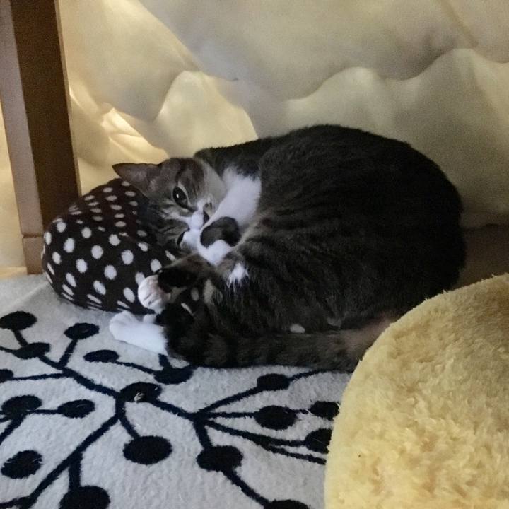 B2846a40 44fd 45ba af82 fbccc1ac3e73