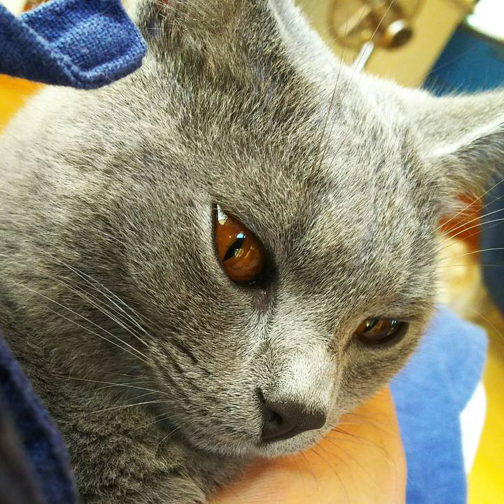 B284a1e5 3483 46c7 9eaa 4940c8c96a73