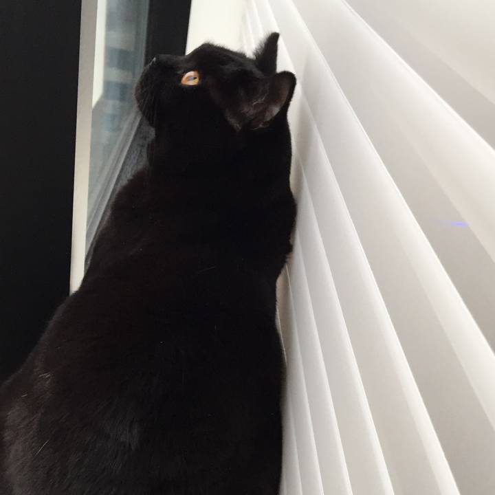 B284e786 9d47 4fd1 8665 aad09b8c8ebf