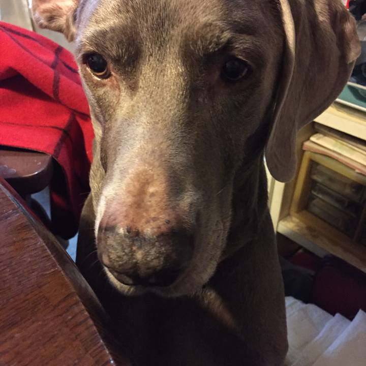 B285839c fbe1 4c62 8b50 9e25267b7125