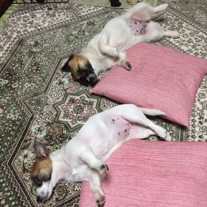 B285afb5 2a36 4004 82c6 e7e67e27d1bc