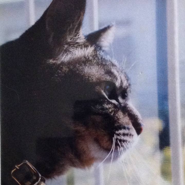 B285cbc9 1efc 4a1a 8e9c d88714e7686d