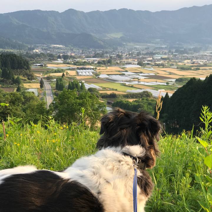 B285cc32 18e0 4ae3 b0a0 c5c9970e2901