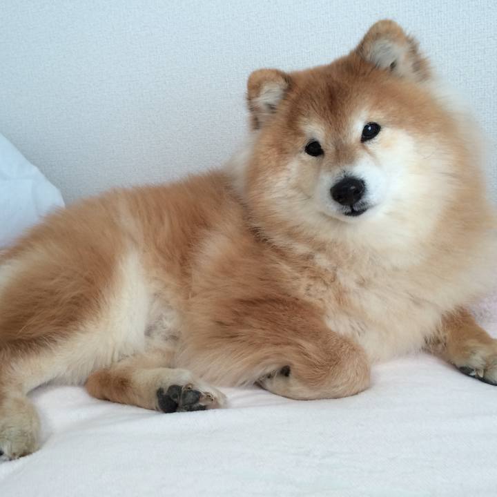 B28644e5 f5e4 451a aa48 8d8dd025cd3e