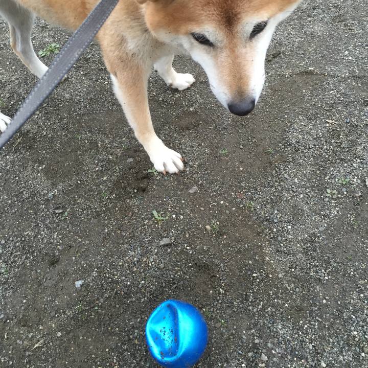 B2869bcb 7353 4f03 b057 588ce72791aa