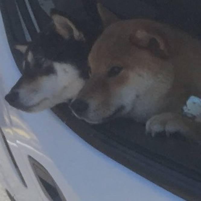 B286adf8 21aa 46a7 a5d0 ebf28dbe099f