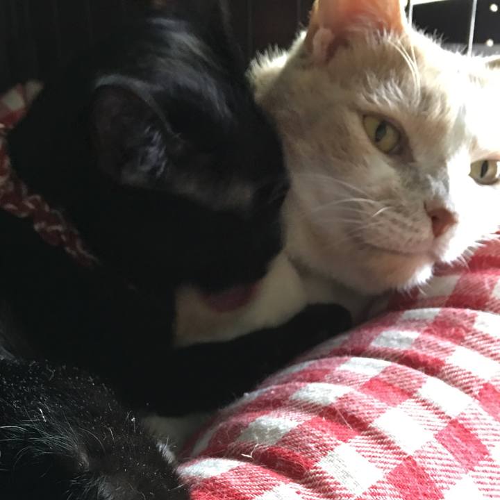 B2876273 a63b 4565 9728 385793a2d0a0